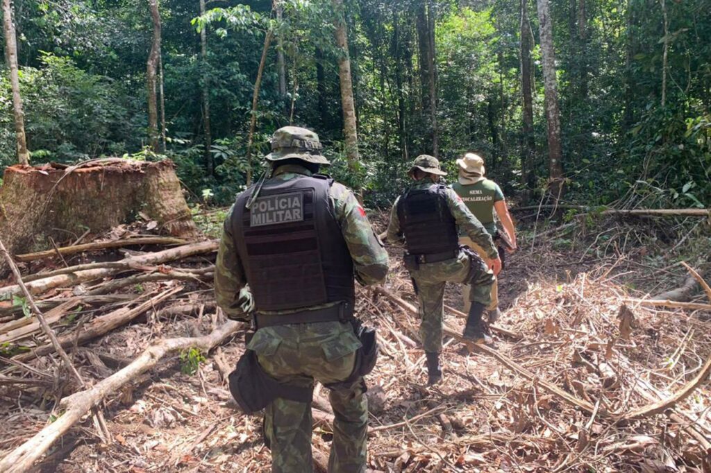 Alertas De Desmatamento Na Amaz Nia Para Junho Batem Recorde Par